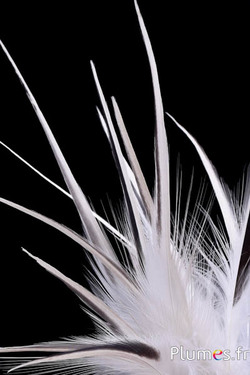 Reiher - 13-16 cm - naturweiss-creme-grau